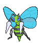 X/Y Frente Shiny X/Y Frente Shiny